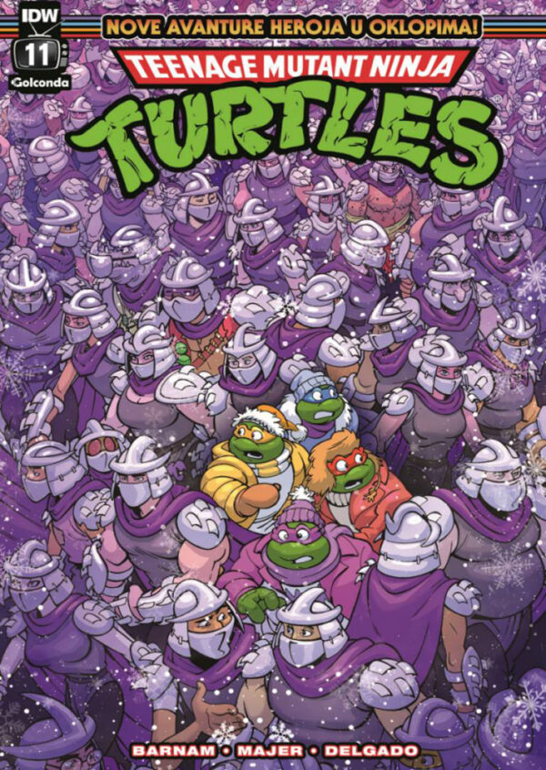 TMNT: Nove avanture heroja u oklopima #11